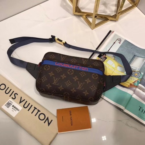 Louis Vuitton Bag 067